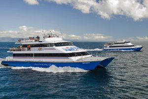 Great Barrier Reef Cruise to Marine World